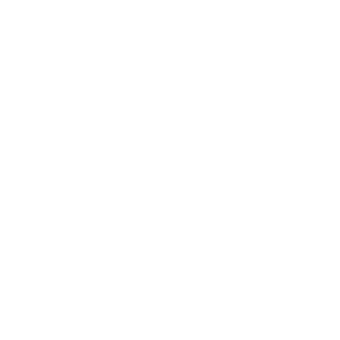 logo mrsfairy